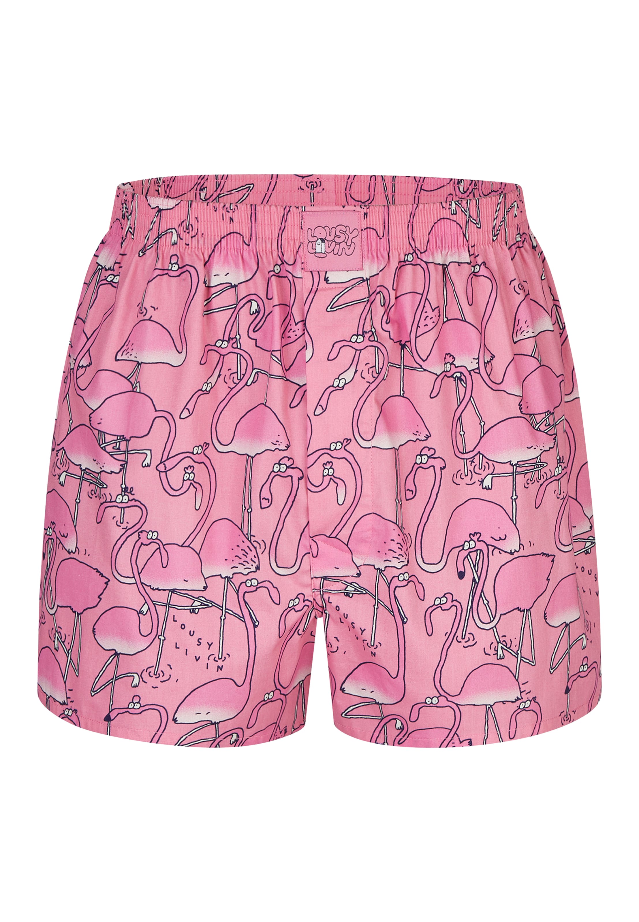 Boxers 'Greater Animals' Lousy Livin en bleu