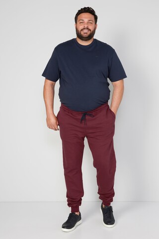 Boston Park Tapered Pants in Red