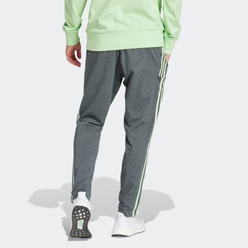 ADIDAS SPORTSWEAR Slim fit Workout Pants in Green