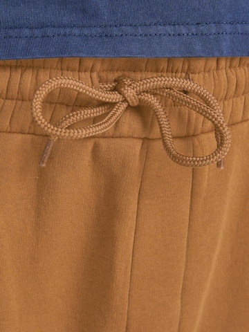 JACK & JONES Tapered Hose 'Gordon' in Braun