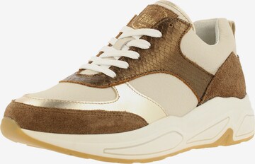 BULLBOXER Sneaker in Braun: predná strana