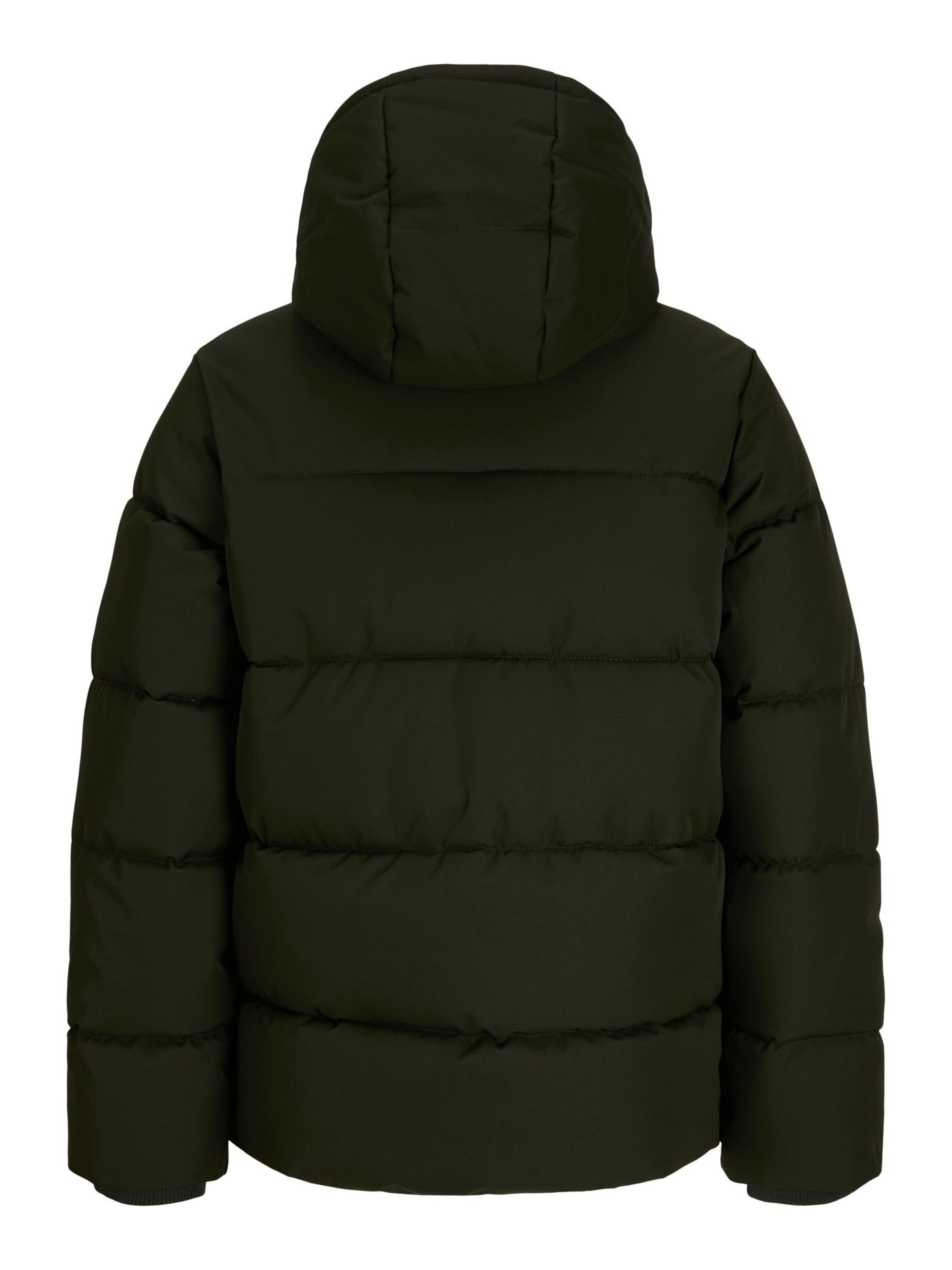 Jack & Jones Junior Winterjas in Groen