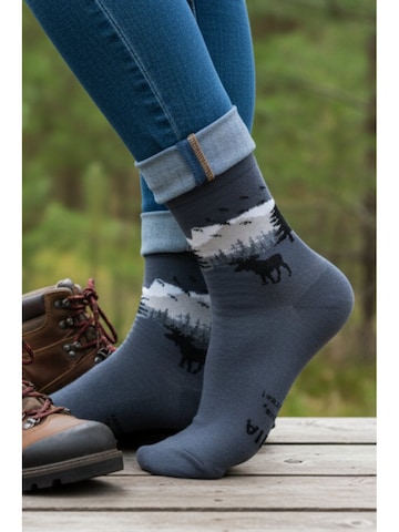 Sokisahtel Sokken 'FOREST cotton socks with a fun message' in Grijs: voorkant