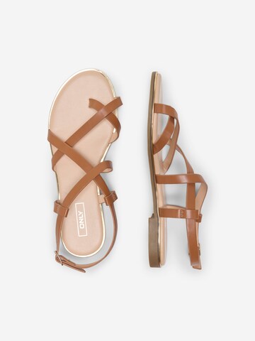 ONLY Sandalen met riem 'ONLMARI-2' in Bruin