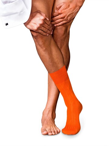 FALKE Socks 'No. 2 Finest Cashmere' in Grey: front