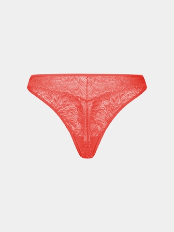 Erlich Textil String in Orange