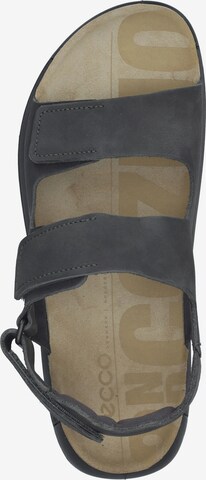 ECCO Sandals in Grey