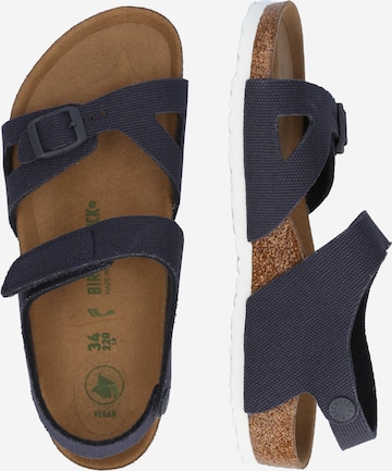 BIRKENSTOCK Sandals & Slippers 'Colorado' in Blue