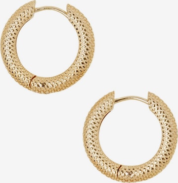 ESPRIT Earrings in Gold: front