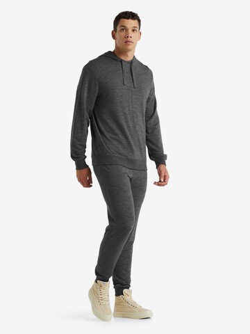 Coupe slim Pantalon outdoor ' Shifter' ICEBREAKER en gris