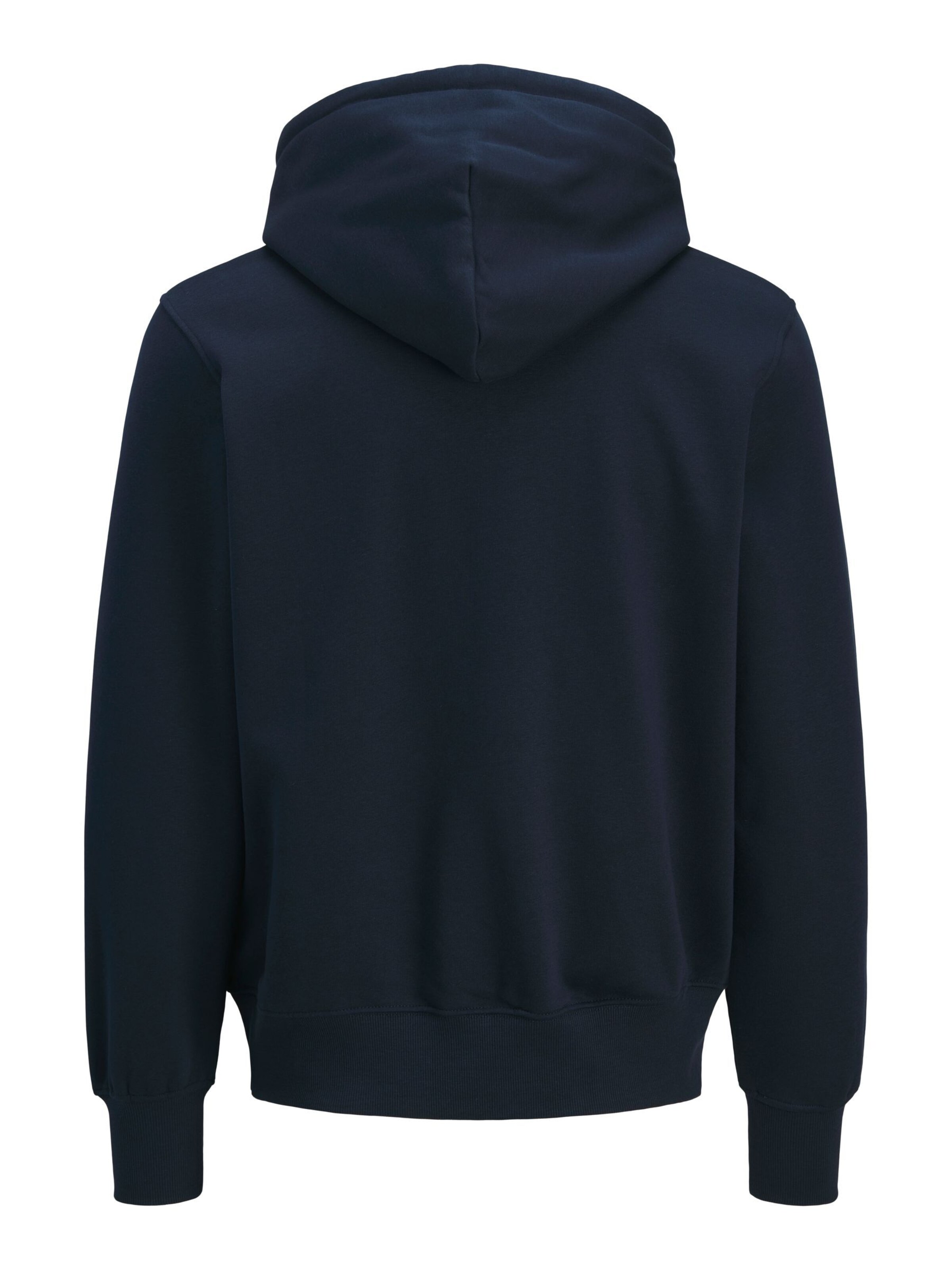 JACK & JONES Sweater in Blue
