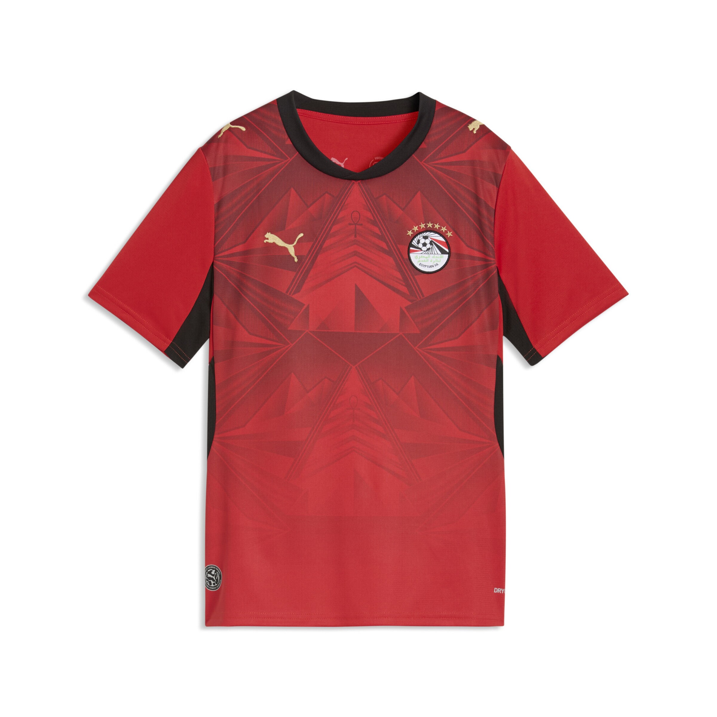 PUMA Functioneel shirt 'Ägypten' in Rood: voorkant