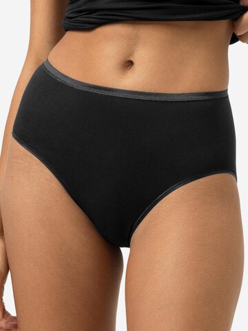Mey Panty 'Modal Pure' in Mixed colors