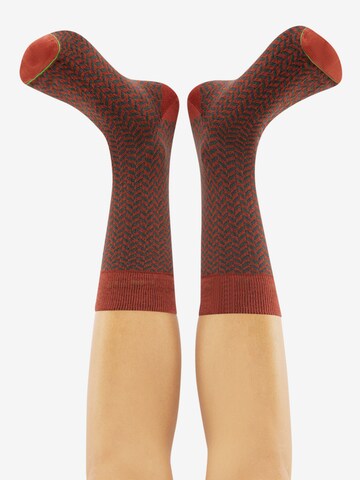 CHEERIO* Socks 'Herringbone Homie' in Red: back