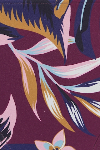 LASCANA Σλιπ μπικίνι σε λιλά