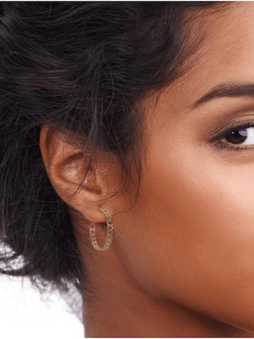 ARS-ARGENTI Earrings 'BI 2 COLOR' in Gold