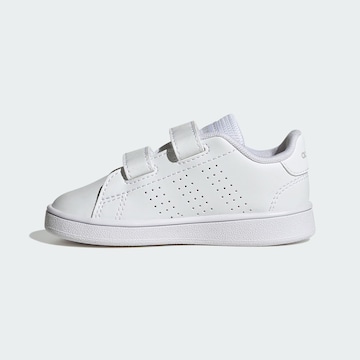ADIDAS ORIGINALS Sneakers 'Advantage' in White: front