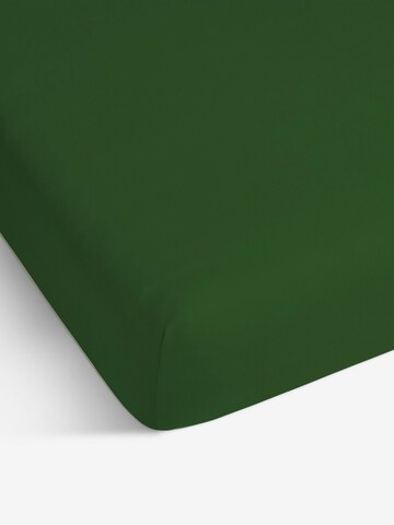Aspero Bed Sheet in Green: front