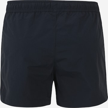 Champion Authentic Athletic Apparel Board Shorts in Blue
