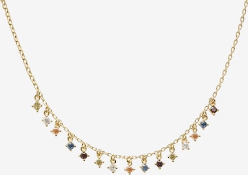 P D PAOLA Kette 'Willow' in Gold: predná strana