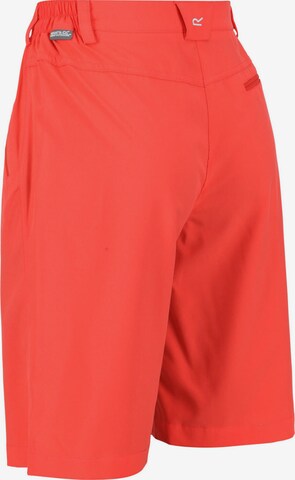 REGATTA Regular Outdoorshorts 'Xert It' in Orange