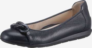 ARA Ballet Flats in Blue: front