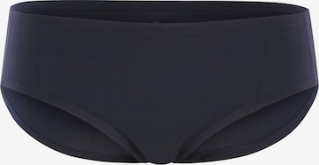 Royal Lounge Intimates Boyshorts in Blue: front