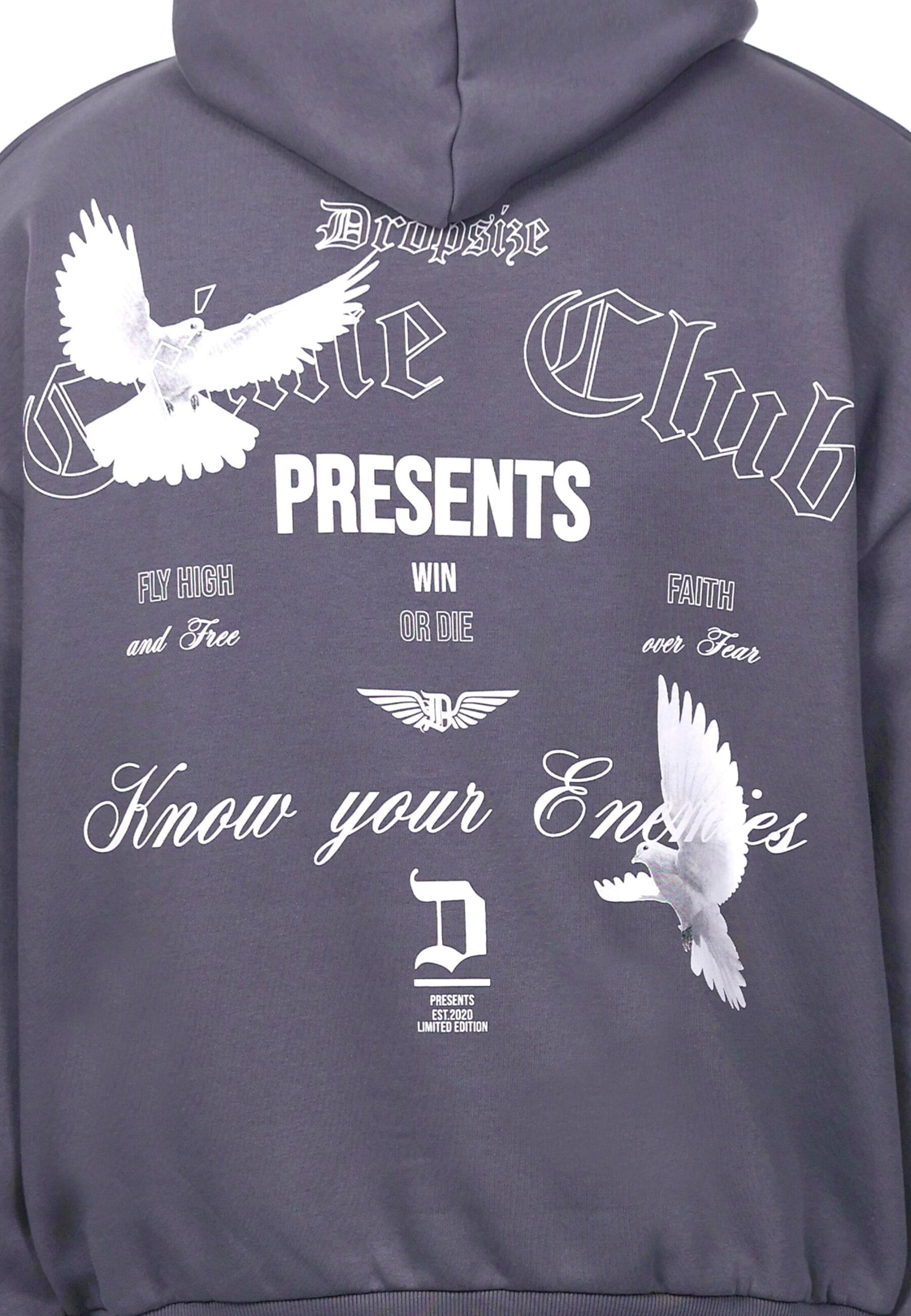 Dropsize Sweatshirt 'Enemies' in Grey