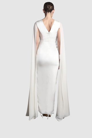 Coast Kleid in Weiß: Rückseite