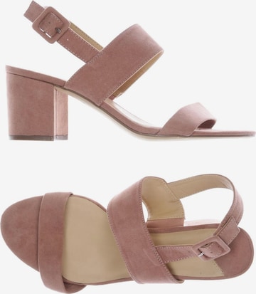 Dorothy Perkins Sandals & High-Heeled Sandals in 40,5 in Beige: front