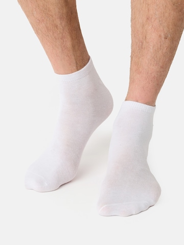 Chaussettes 'Classic' Nur Der en blanc : devant