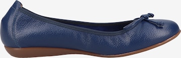 Wonders Ballet Flats in Blue