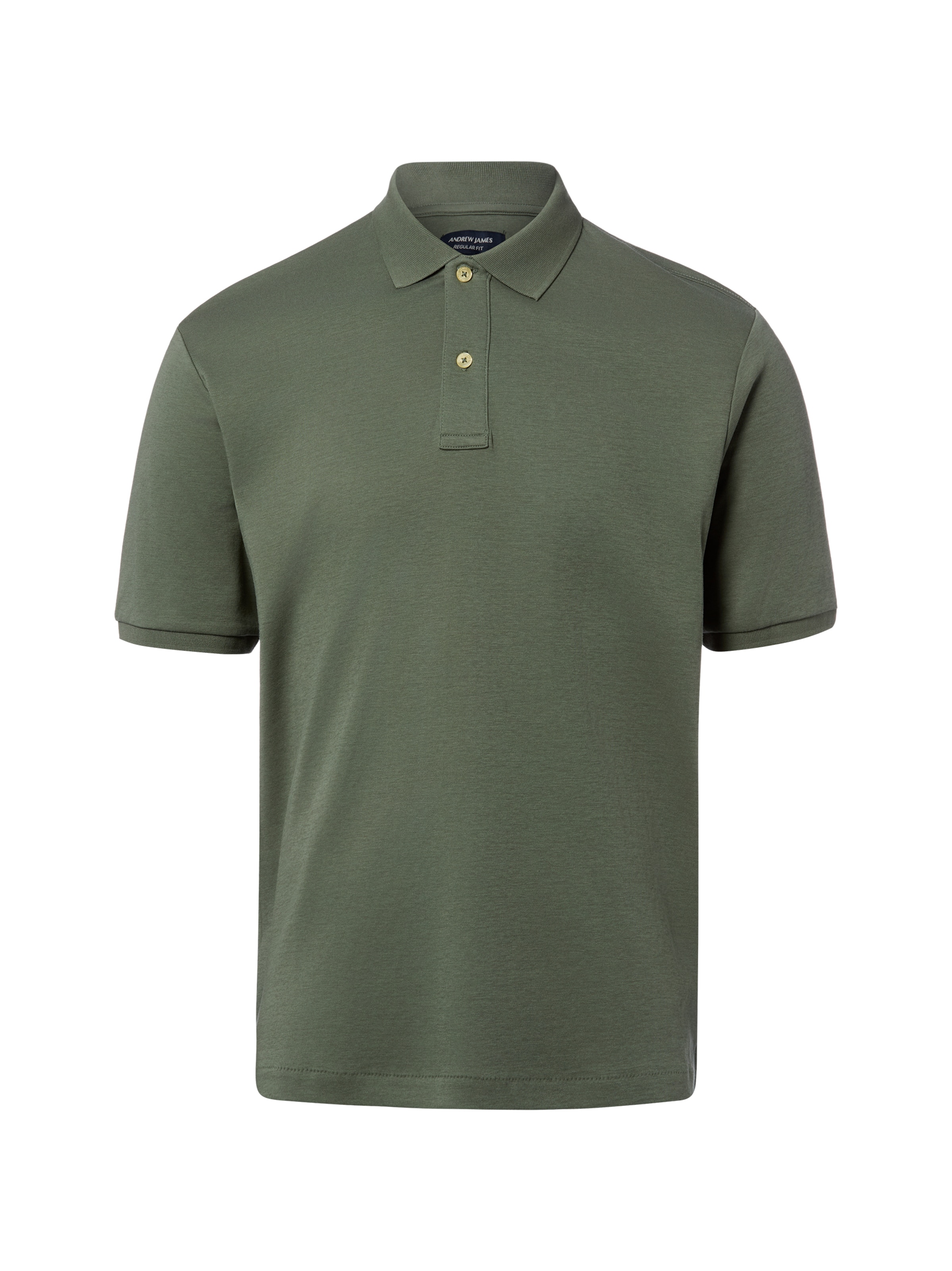 Andrew James Shirt in Green: front