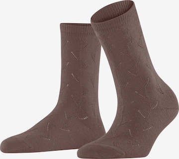FALKE Socken 'Wind Dance' in Braun: Vorderseite