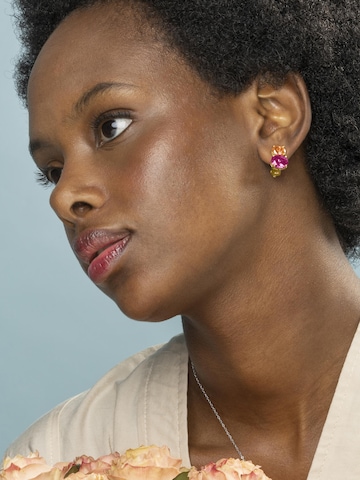 Luxenter Oorbellen 'Elsoni' in Gemengde kleuren