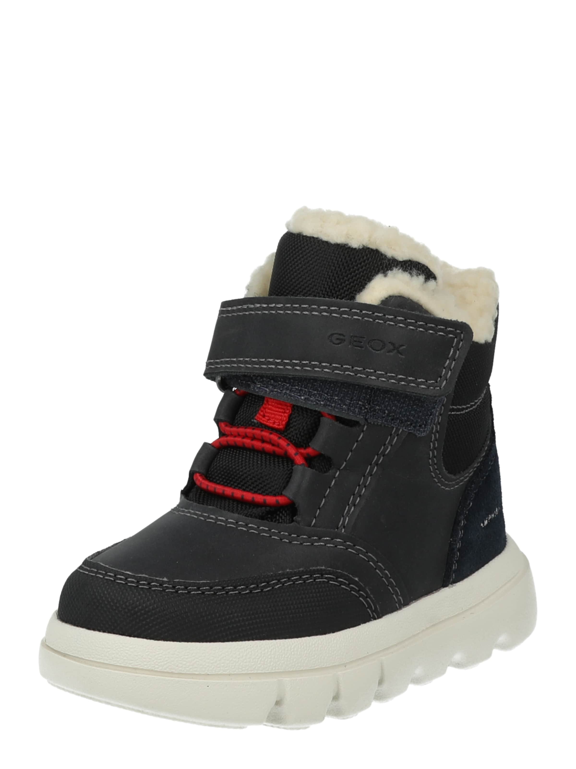 GEOX Snowboots in Blau: Vorderseite