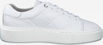 Baskets basses TAMARIS en blanc