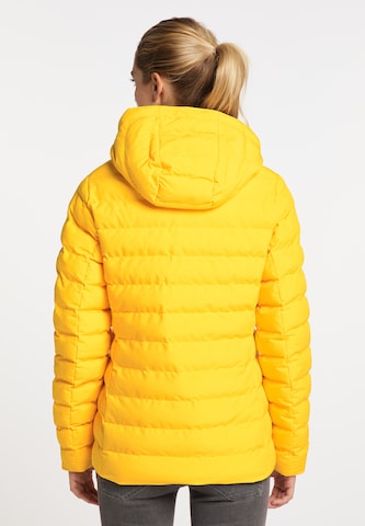 ICEBOUND - Chaqueta funcional en amarillo