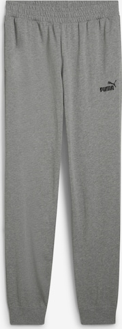 PUMA Regular Broek 'Essentials No. 1' in Grijs: voorkant