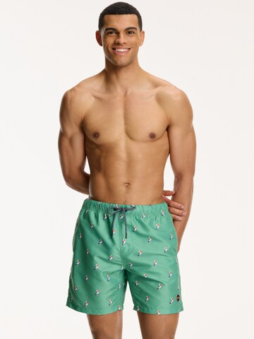 Shorts de bain 'PELICAN' Shiwi en vert : devant