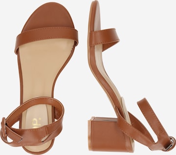 Dorothy Perkins Sandalen met riem 'Suki' in Bruin