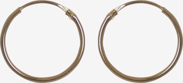 Lucardi Earrings 'Klassisch' in Gold: front