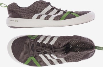 ADIDAS PERFORMANCE Sneakers & Trainers in 44,5 in Brown: front