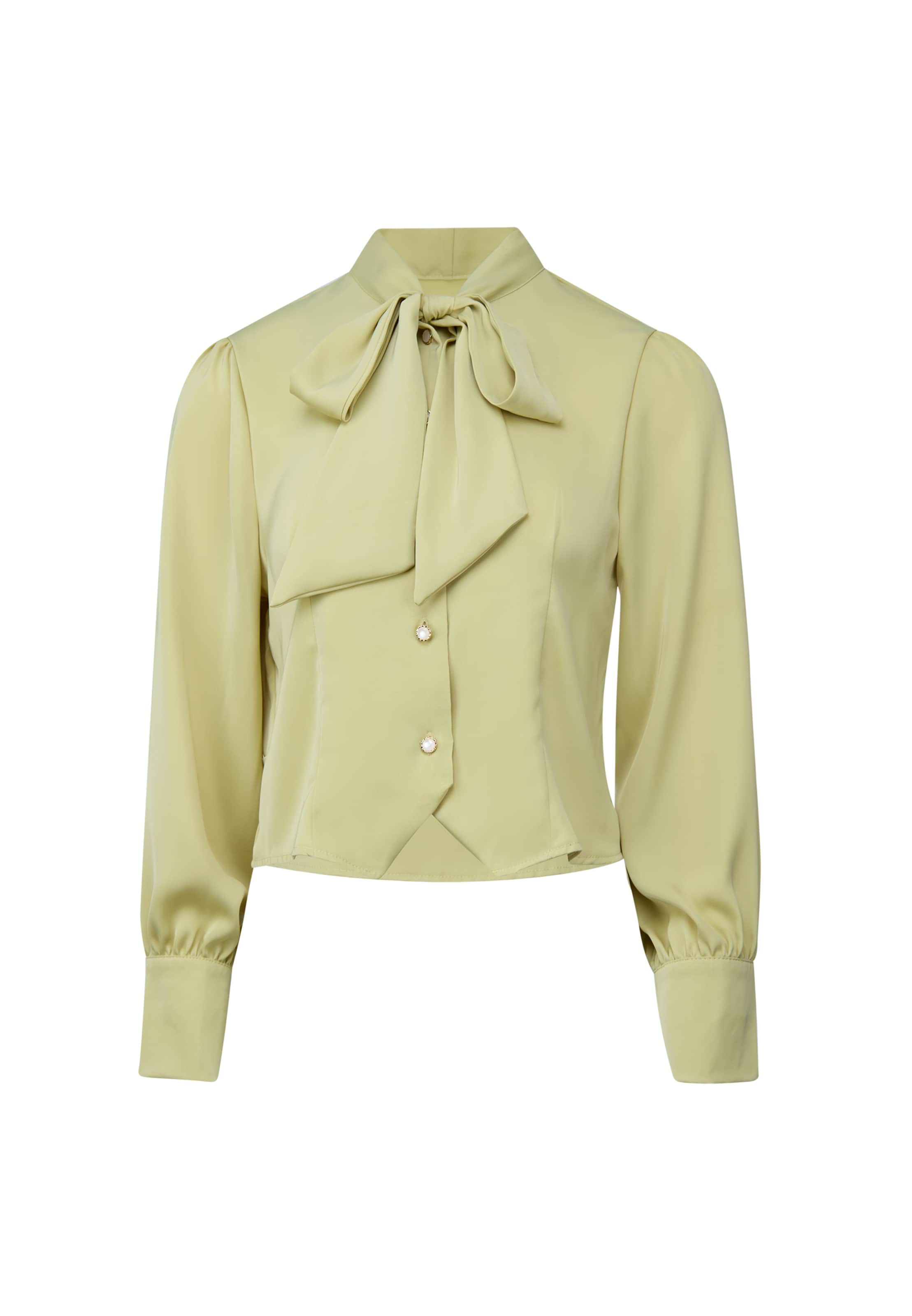 usha BLACK LABEL Blouse in Groen: voorkant