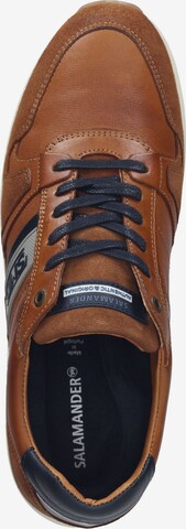 SALAMANDER Sneakers in Brown