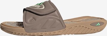 ADIDAS SPORTSWEAR Beach & Pool Shoes 'Reptossage' in Brown: front