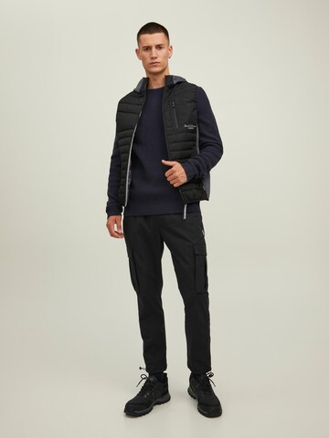 JACK & JONES Trui in Blauw