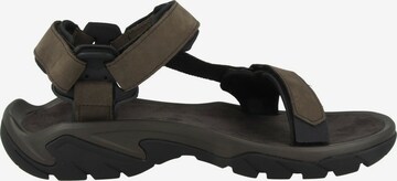TEVA Hiking Sandals 'Terra Fi 5 Universal' in Brown