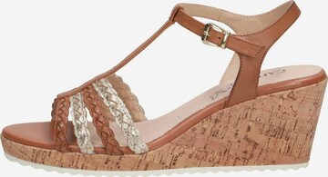 CAPRICE Sandalen met riem in Bruin