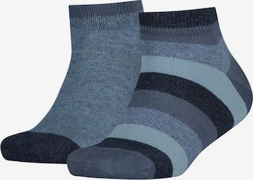 TOMMY HILFIGER Socks in Blue: front